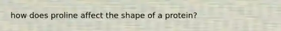 how does proline affect the shape of a protein?