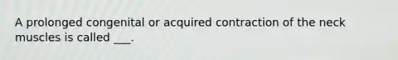 A prolonged congenital or acquired contraction of the neck muscles is called ___.