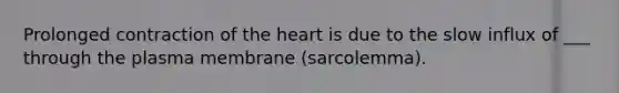 Prolonged contraction of <a href='https://www.questionai.com/knowledge/kya8ocqc6o-the-heart' class='anchor-knowledge'>the heart</a> is due to the slow influx of ___ through the plasma membrane (sarcolemma).