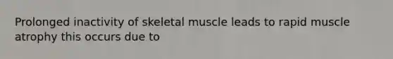 Prolonged inactivity of skeletal muscle leads to rapid muscle atrophy this occurs due to