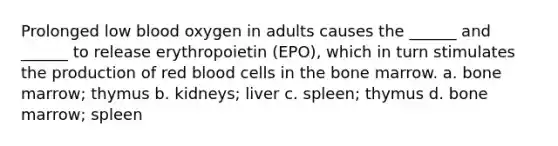 Prolonged low blood oxygen in adults causes the ______ and ______ to release erythropoietin (EPO), which in turn stimulates the production of red blood cells in the bone marrow. a. bone marrow; thymus b. kidneys; liver c. spleen; thymus d. bone marrow; spleen