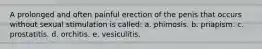 A prolonged and often painful erection of the penis that occurs without sexual stimulation is called: a. phimosis. b. priapism. c. prostatitis. d. orchitis. e. vesiculitis.