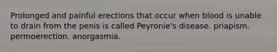 Prolonged and painful erections that occur when blood is unable to drain from the penis is called Peyronie's disease. priapism. permoerection. anorgasmia.