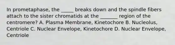 In prometaphase, the _____ breaks down and the spindle fibers attach to the sister chromatids at the _______ region of the centromere? A. Plasma Membrane, Kinetochore B. Nucleolus, Centriole C. Nuclear Envelope, Kinetochore D. Nuclear Envelope, Centriole