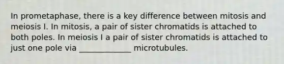 In prometaphase, there is a key difference between mitosis and meiosis I. In mitosis, a pair of sister chromatids is attached to both poles. In meiosis I a pair of sister chromatids is attached to just one pole via _____________ microtubules.