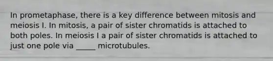 In prometaphase, there is a key difference between mitosis and meiosis I. In mitosis, a pair of sister chromatids is attached to both poles. In meiosis I a pair of sister chromatids is attached to just one pole via _____ microtubules.