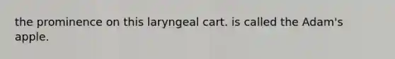 the prominence on this laryngeal cart. is called the Adam's apple.