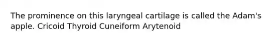 The prominence on this laryngeal cartilage is called the Adam's apple. Cricoid Thyroid Cuneiform Arytenoid