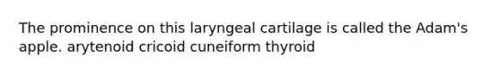 The prominence on this laryngeal cartilage is called the Adam's apple. arytenoid cricoid cuneiform thyroid