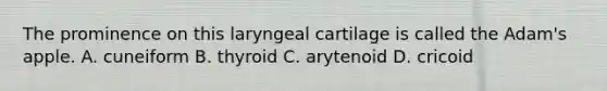 The prominence on this laryngeal cartilage is called the Adam's apple. A. cuneiform B. thyroid C. arytenoid D. cricoid