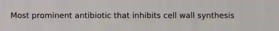 Most prominent antibiotic that inhibits cell wall synthesis