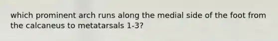 which prominent arch runs along the medial side of the foot from the calcaneus to metatarsals 1-3?