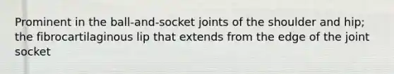 Prominent in the ball-and-socket joints of the shoulder and hip; the fibrocartilaginous lip that extends from the edge of the joint socket