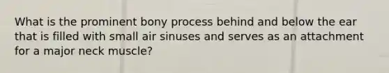 What is the prominent bony process behind and below the ear that is filled with small air sinuses and serves as an attachment for a major neck muscle?