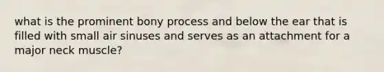 what is the prominent bony process and below the ear that is filled with small air sinuses and serves as an attachment for a major neck muscle?