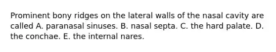 Prominent bony ridges on the lateral walls of the nasal cavity are called A. paranasal sinuses. B. nasal septa. C. the hard palate. D. the conchae. E. the internal nares.