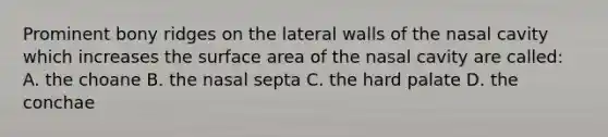 Prominent bony ridges on the lateral walls of the nasal cavity which increases the surface area of the nasal cavity are called: A. the choane B. the nasal septa C. the hard palate D. the conchae