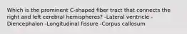 Which is the prominent C-shaped fiber tract that connects the right and left cerebral hemispheres? -Lateral ventricle -Diencephalon -Longitudinal fissure -Corpus callosum