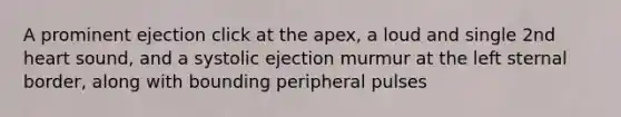 A prominent ejection click at the apex, a loud and single 2nd heart sound, and a systolic ejection murmur at the left sternal border, along with bounding peripheral pulses