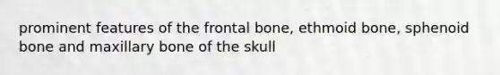 prominent features of the frontal bone, ethmoid bone, sphenoid bone and maxillary bone of the skull