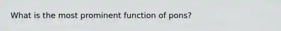 What is the most prominent function of pons?