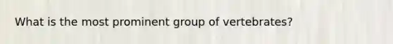 What is the most prominent group of vertebrates?