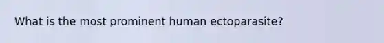 What is the most prominent human ectoparasite?