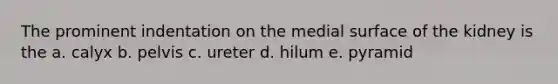 The prominent indentation on the medial surface of the kidney is the a. calyx b. pelvis c. ureter d. hilum e. pyramid