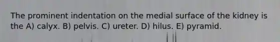 The prominent indentation on the medial surface of the kidney is the A) calyx. B) pelvis. C) ureter. D) hilus. E) pyramid.