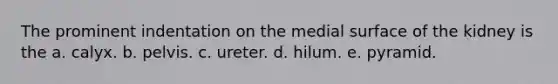 The prominent indentation on the medial surface of the kidney is the a. calyx. b. pelvis. c. ureter. d. hilum. e. pyramid.