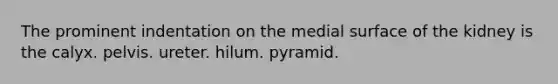The prominent indentation on the medial surface of the kidney is the calyx. pelvis. ureter. hilum. pyramid.