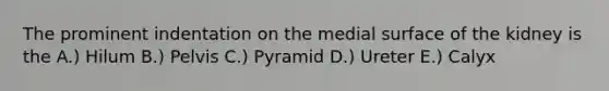 The prominent indentation on the medial surface of the kidney is the A.) Hilum B.) Pelvis C.) Pyramid D.) Ureter E.) Calyx