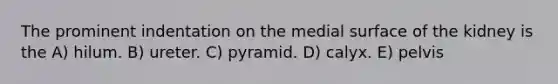 The prominent indentation on the medial surface of the kidney is the A) hilum. B) ureter. C) pyramid. D) calyx. E) pelvis