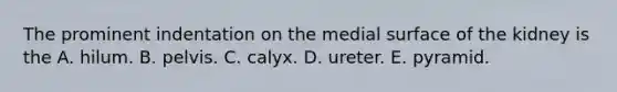 The prominent indentation on the medial surface of the kidney is the A. hilum. B. pelvis. C. calyx. D. ureter. E. pyramid.