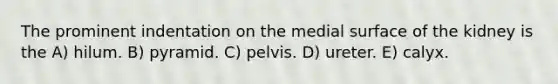 The prominent indentation on the medial surface of the kidney is the A) hilum. B) pyramid. C) pelvis. D) ureter. E) calyx.