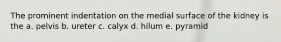 The prominent indentation on the medial surface of the kidney is the a. pelvis b. ureter c. calyx d. hilum e. pyramid