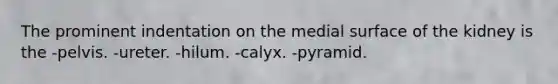 The prominent indentation on the medial surface of the kidney is the -pelvis. -ureter. -hilum. -calyx. -pyramid.
