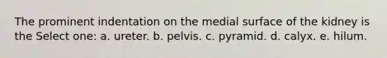 The prominent indentation on the medial surface of the kidney is the Select one: a. ureter. b. pelvis. c. pyramid. d. calyx. e. hilum.