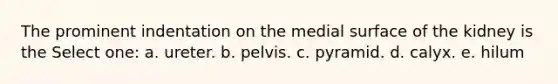 The prominent indentation on the medial surface of the kidney is the Select one: a. ureter. b. pelvis. c. pyramid. d. calyx. e. hilum