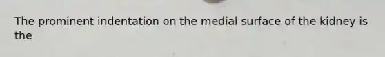 The prominent indentation on the medial surface of the kidney is the