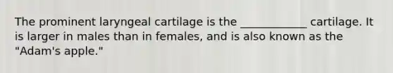 The prominent laryngeal cartilage is the ____________ cartilage. It is larger in males than in females, and is also known as the "Adam's apple."