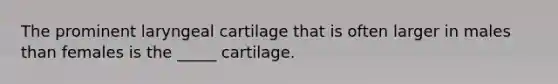 The prominent laryngeal cartilage that is often larger in males than females is the _____ cartilage.