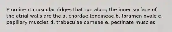 Prominent muscular ridges that run along the inner surface of the atrial walls are the a. chordae tendineae b. foramen ovale c. papillary muscles d. trabeculae carneae e. pectinate muscles