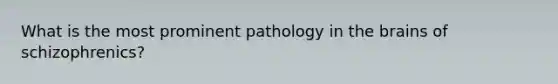 What is the most prominent pathology in <a href='https://www.questionai.com/knowledge/kLMtJeqKp6-the-brain' class='anchor-knowledge'>the brain</a>s of schizophrenics?