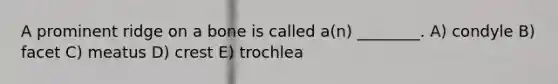 A prominent ridge on a bone is called a(n) ________. A) condyle B) facet C) meatus D) crest E) trochlea