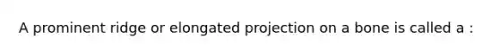 A prominent ridge or elongated projection on a bone is called a :