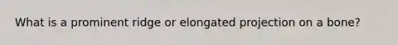 What is a prominent ridge or elongated projection on a bone?