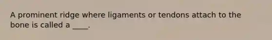 A prominent ridge where ligaments or tendons attach to the bone is called a ____.