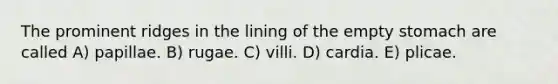 The prominent ridges in the lining of the empty stomach are called A) papillae. B) rugae. C) villi. D) cardia. E) plicae.