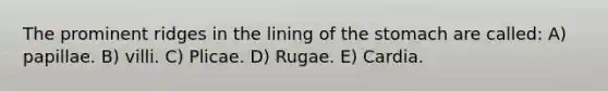 The prominent ridges in the lining of the stomach are called: A) papillae. B) villi. C) Plicae. D) Rugae. E) Cardia.